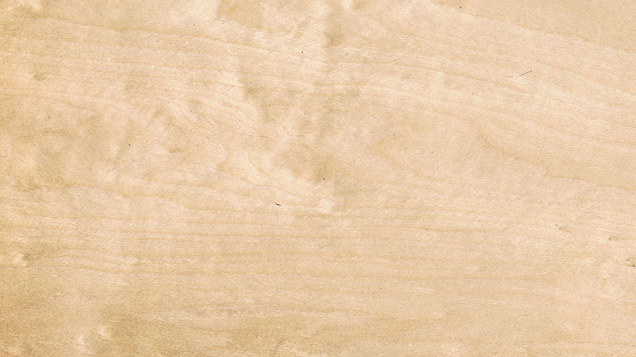 Betulla Legno in Vendita - Giacomo Seralvo & Figli