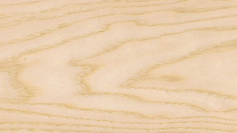 legno di frassino