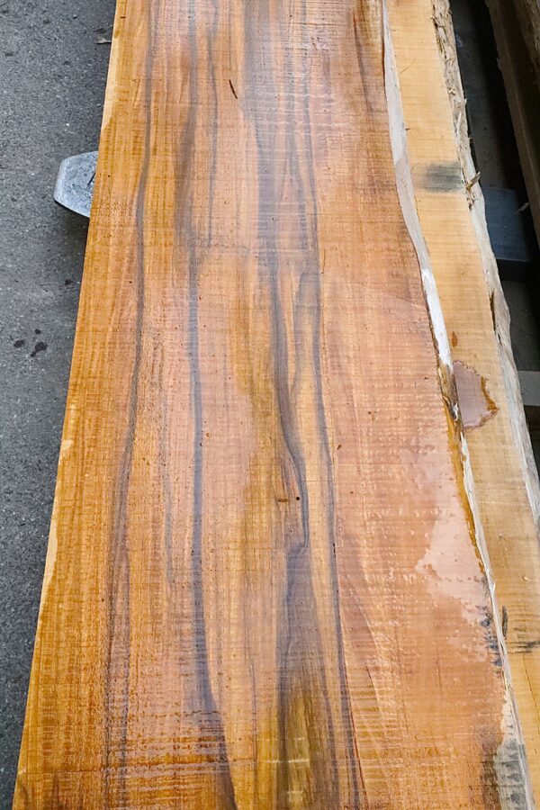 TAVOLA EBANO BROWN