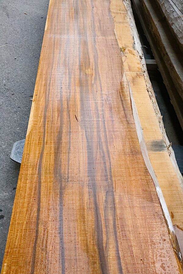 TAVOLA EBANO BROWN