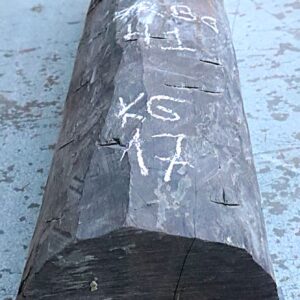 TRONCHETTO EBANO GABON